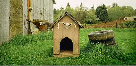 《生化危机》启发 生存恐怖游戏《感染屋敷》今日即将上线